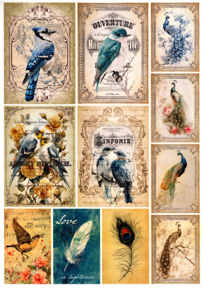 Vintage Birds Rice Paper Kit
