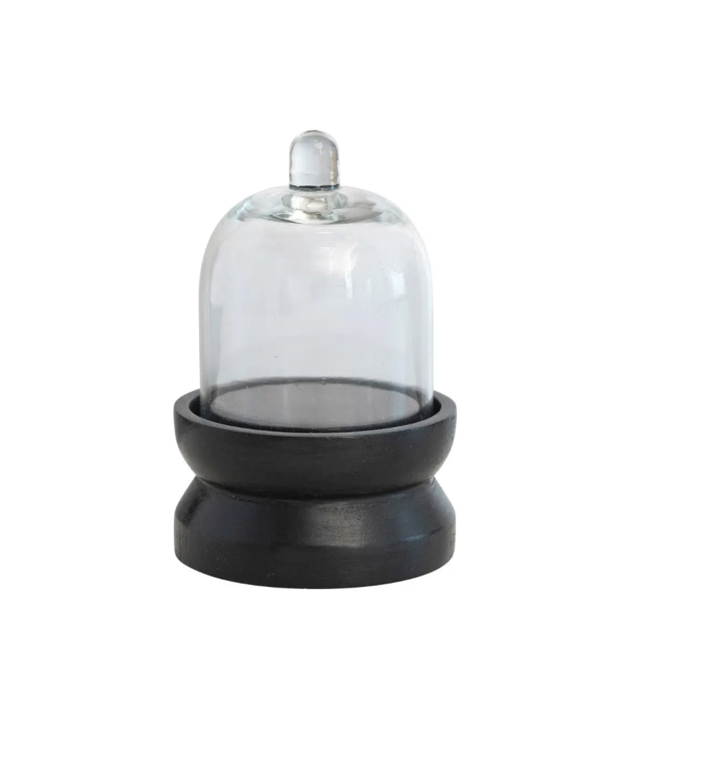 Mini Glass Cloche on Wooden Base
