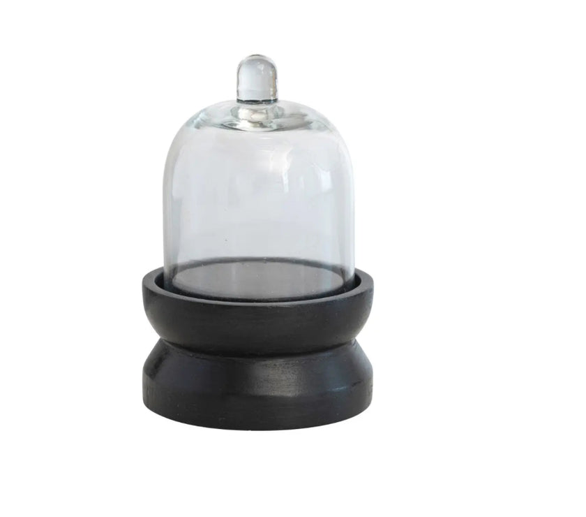 Mini Glass Cloche on Wooden Base