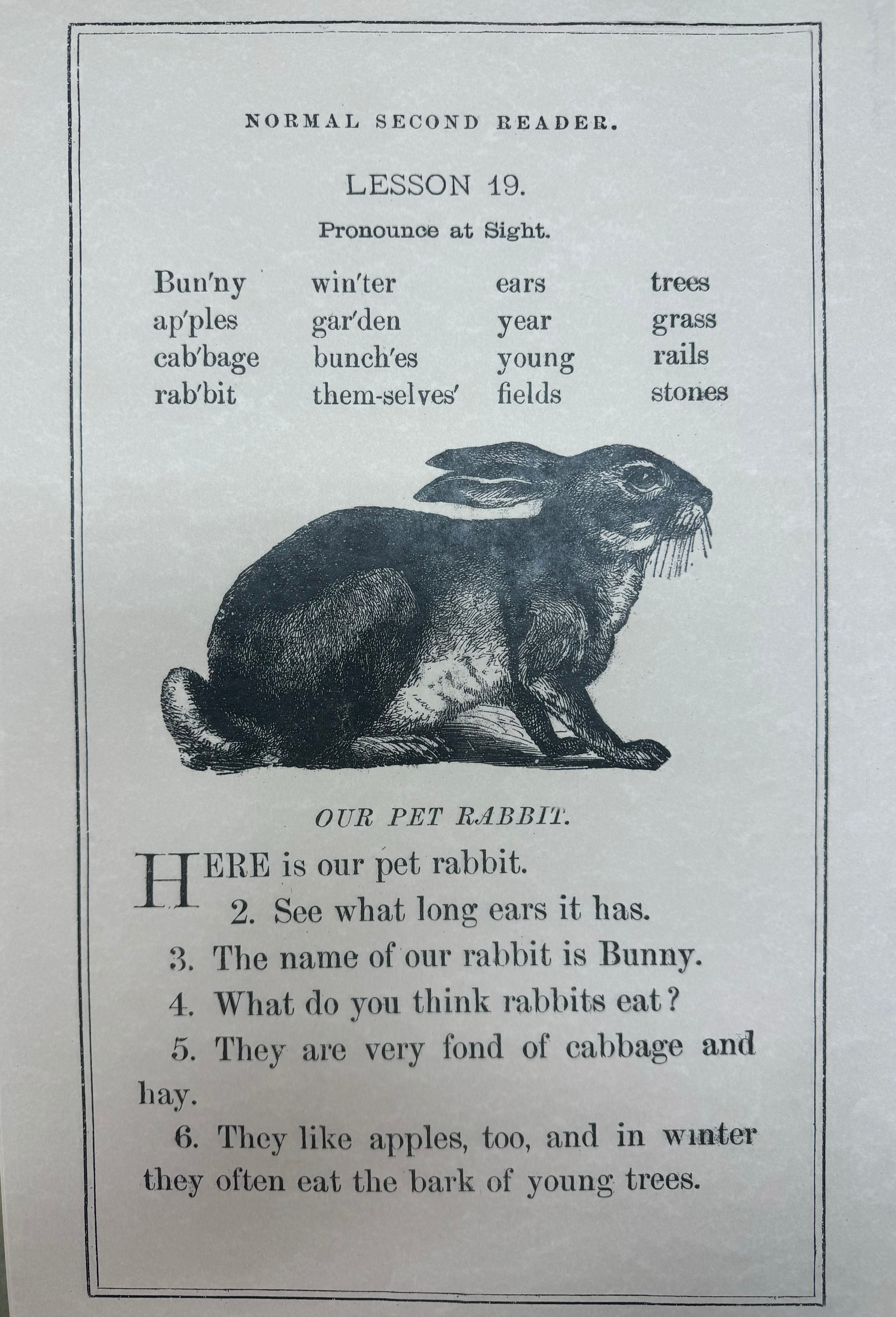 Our Pet Rabbit (048) SPS133