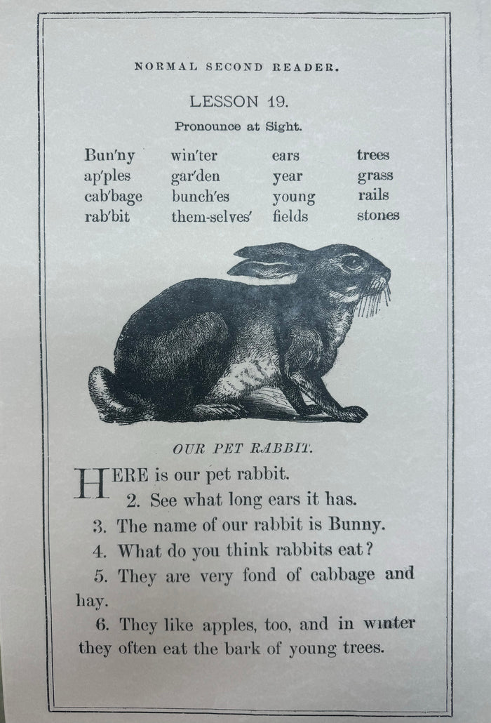 Our Pet Rabbit (048) SPS133