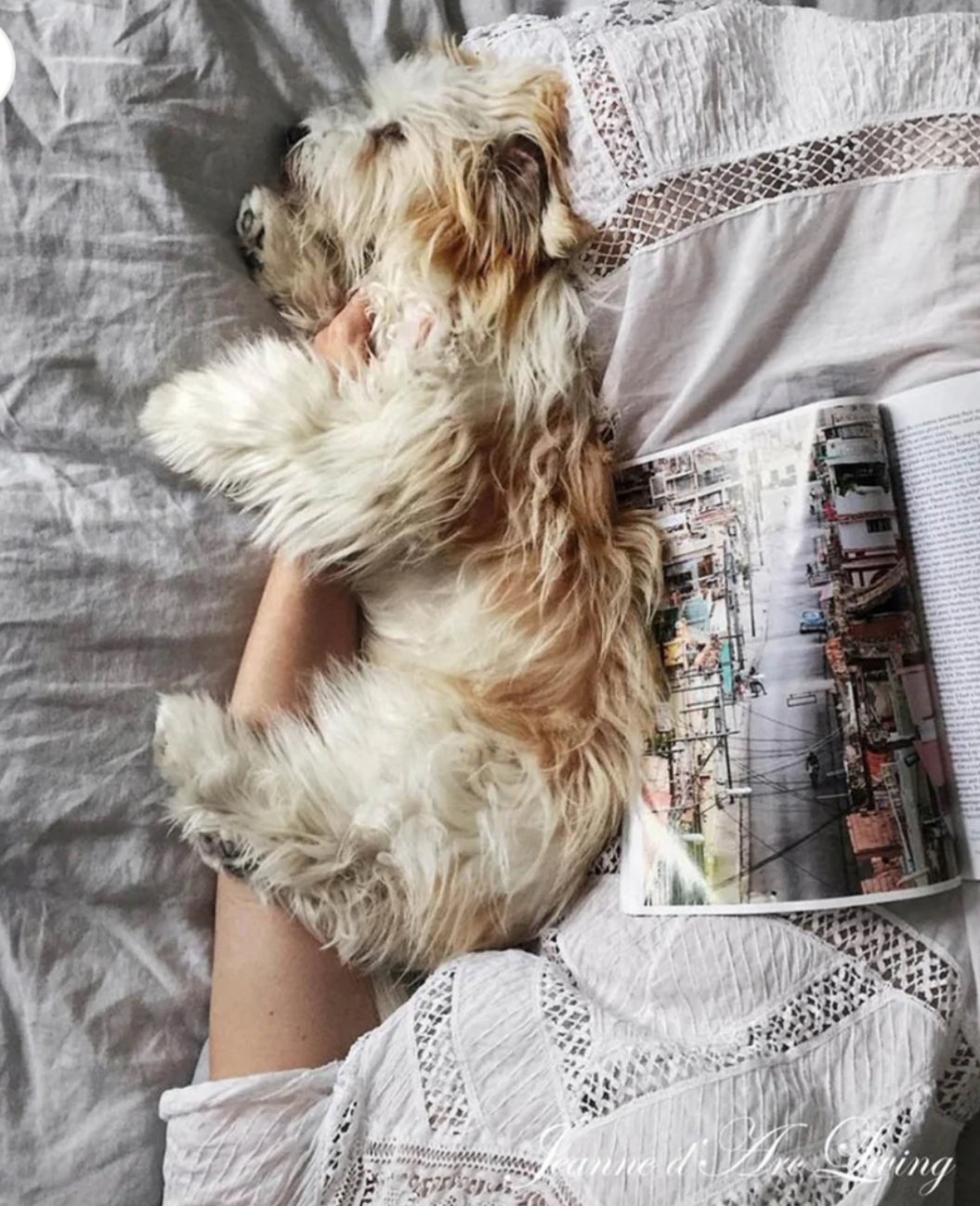 Jeanne D’Arc Living Book “Moments of Hygge”