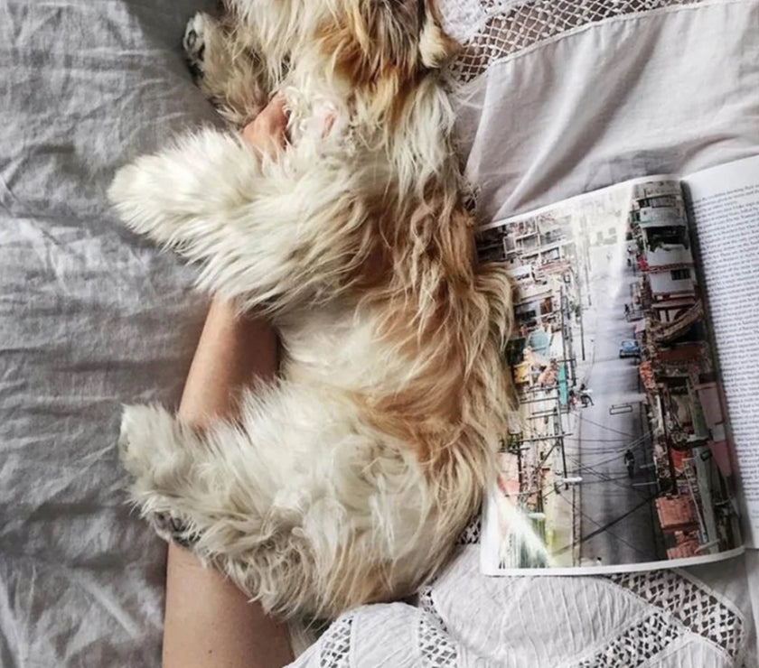 Jeanne D’Arc Living Book “Moments of Hygge”