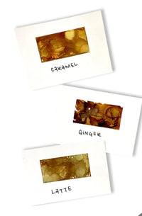 Tim Holtz Alcohol Ink - 1/2oz - Cabin Cupboard Color Kit, Set of 3