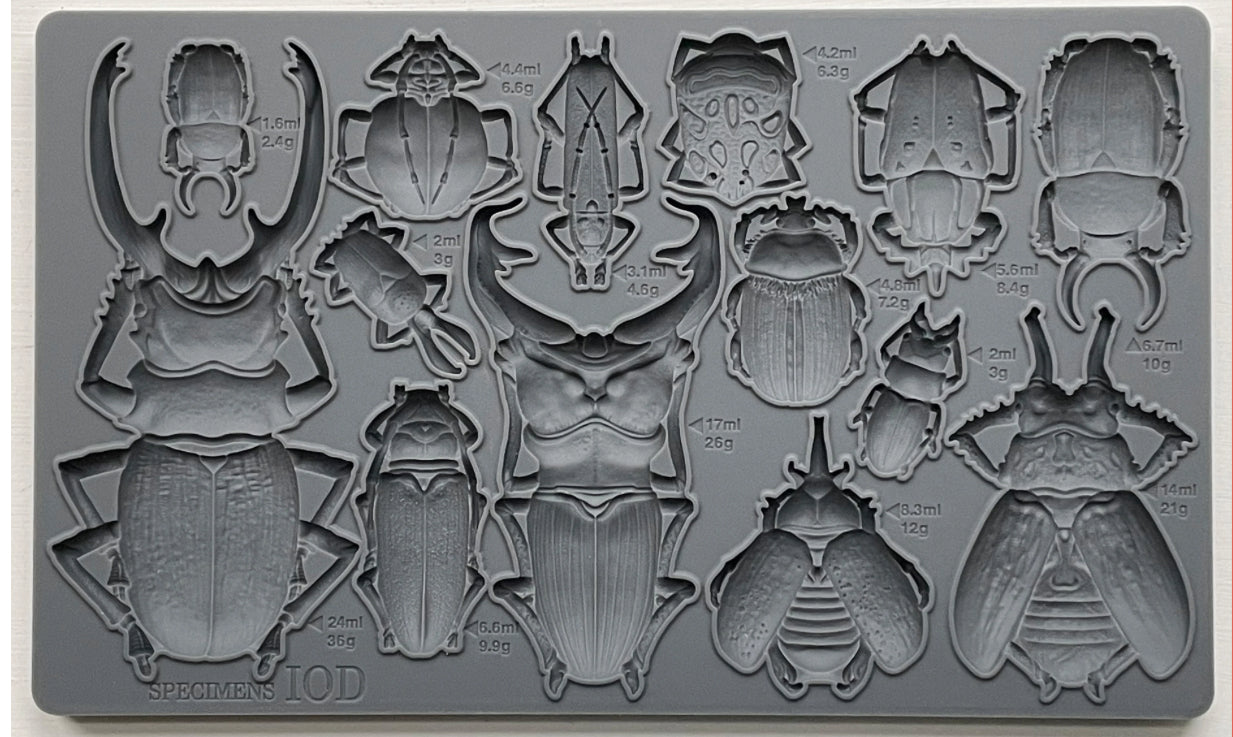 Specimens  IOD Décor Mould