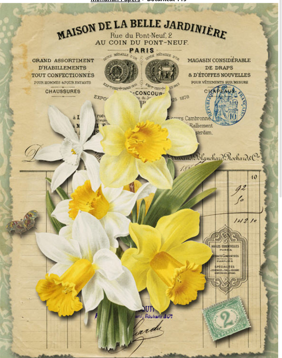 Daffodils BOT149 – ellen j goods