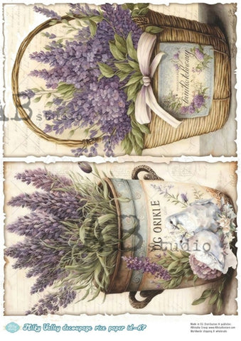 Buckets of Fresh Lavender