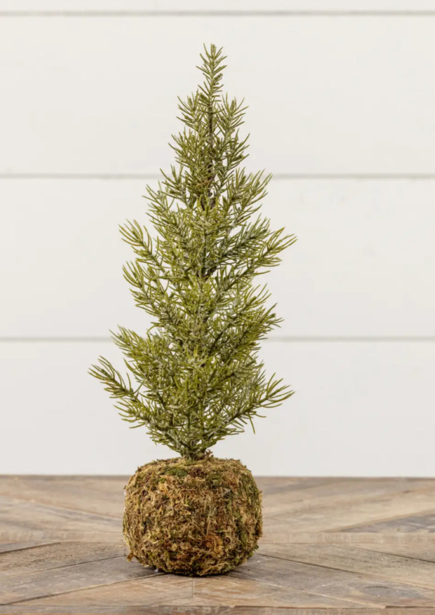 15.75" Pine Tree w/ Moss Ball Base