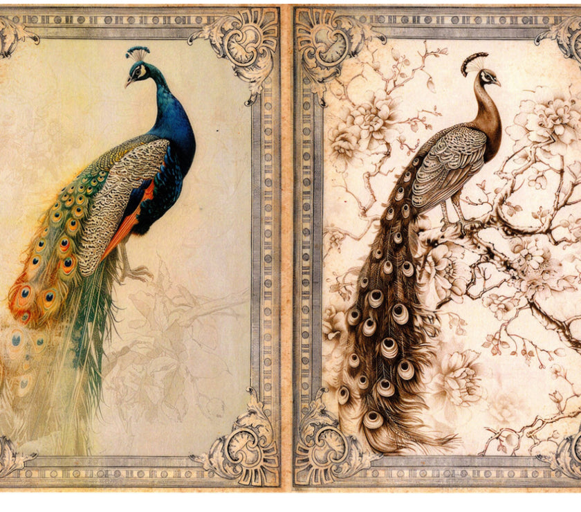 Vintage Birds Rice Paper Kit