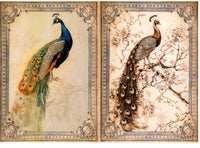 Vintage Birds Rice Paper Kit