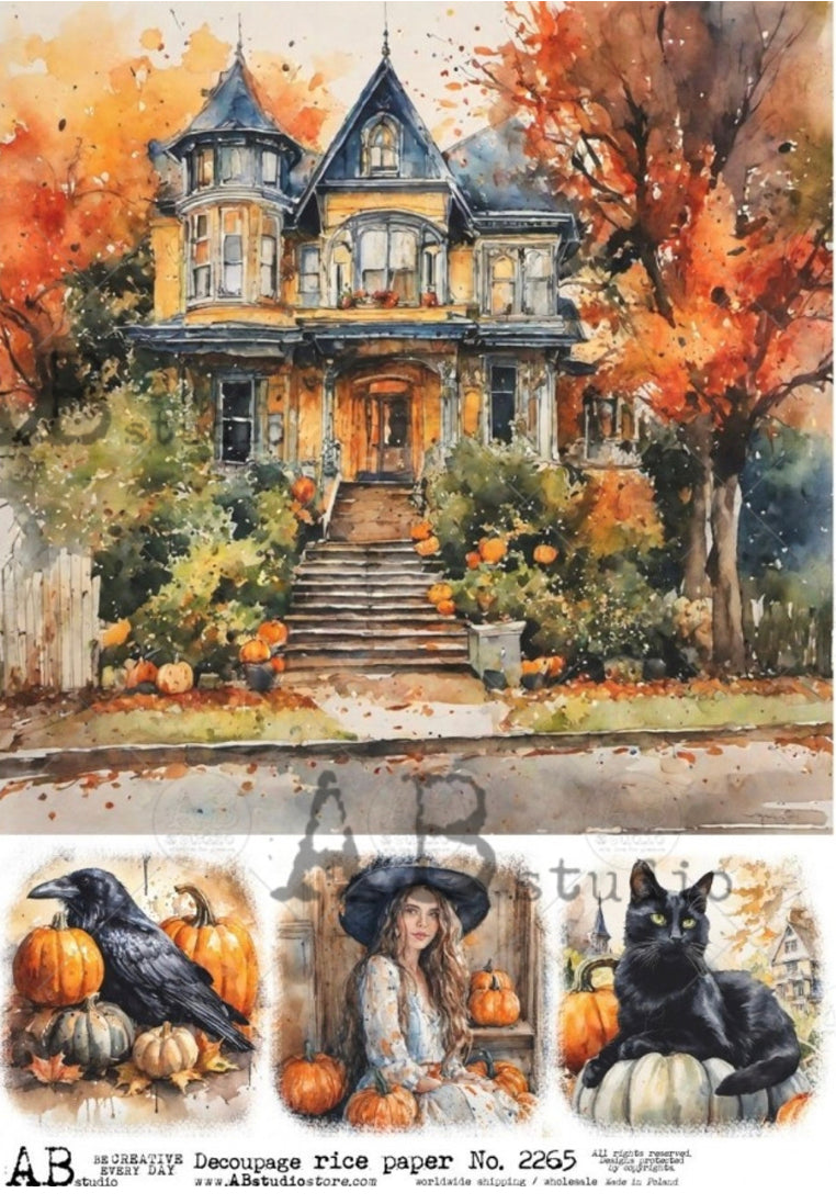 Victorian House 4 Scenes ABRP_2265