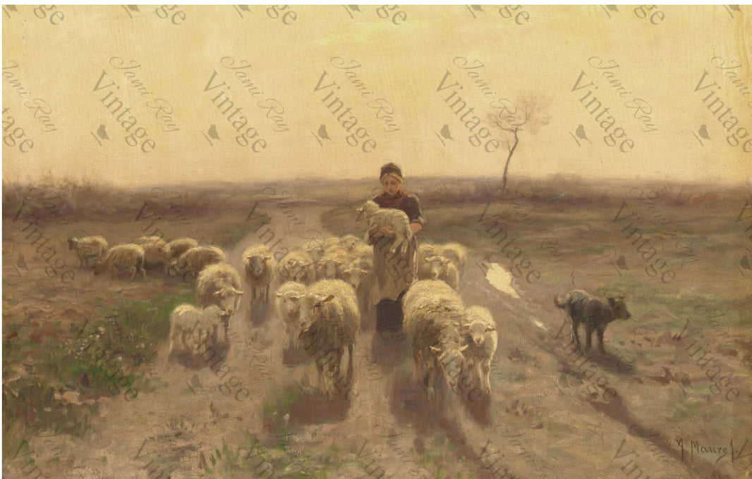 Sheep at Sunset | JRV large Rice Paper