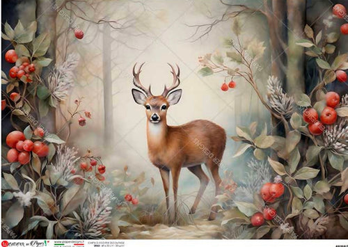 Festive Buck 0214