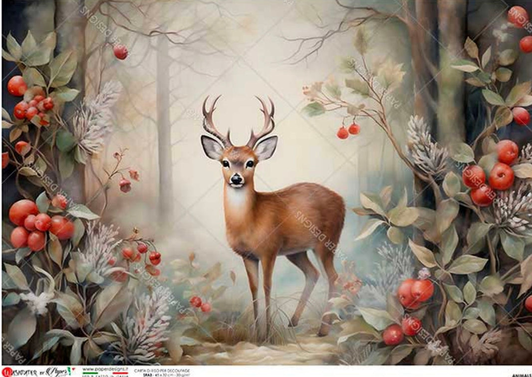 Festive Buck 0214