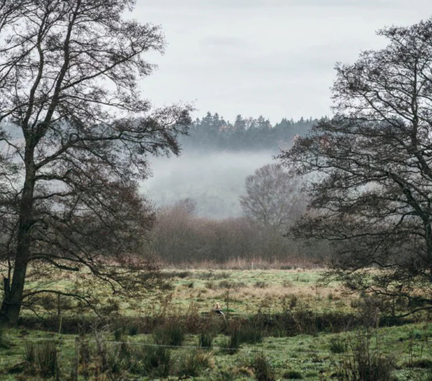 Jeanne D’Arc Living Book “Moments of Hygge”