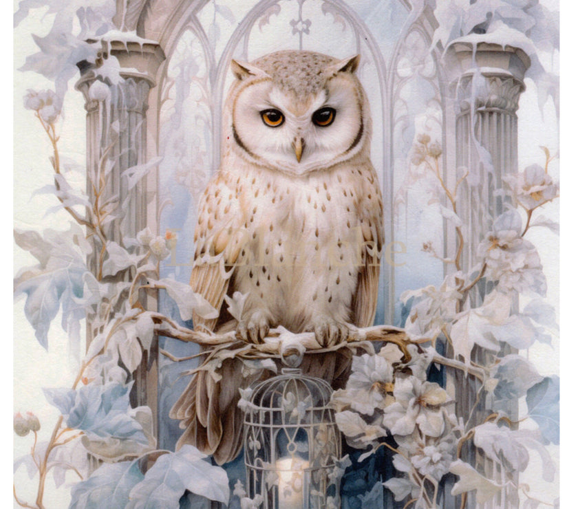 Frosty Winter Owl 2