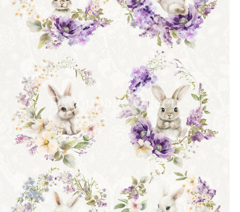 Spring Bunnies