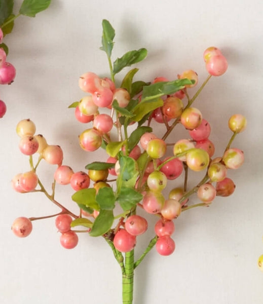 VIBRANT SPRING BERRY PICK