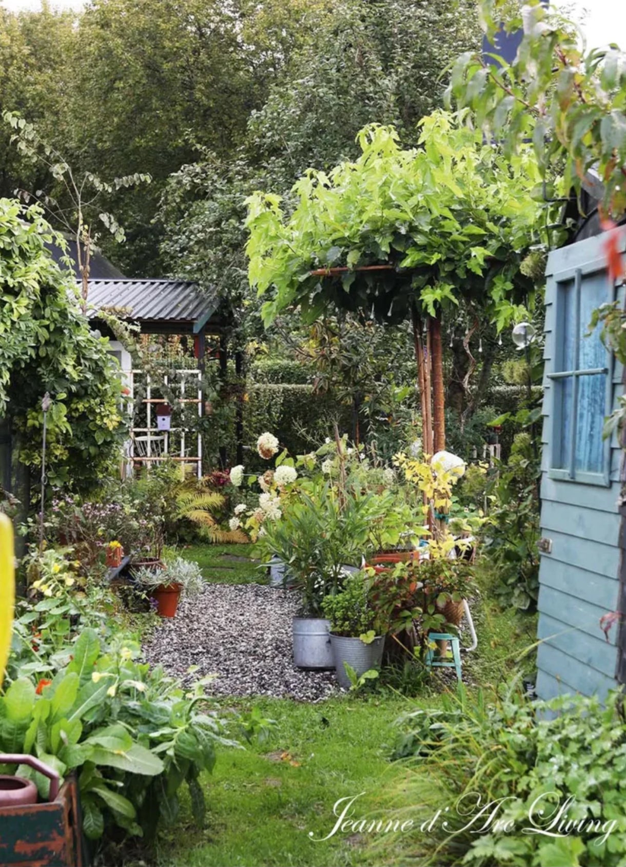 Jeanne d'Arc Living - Issue #6 2025