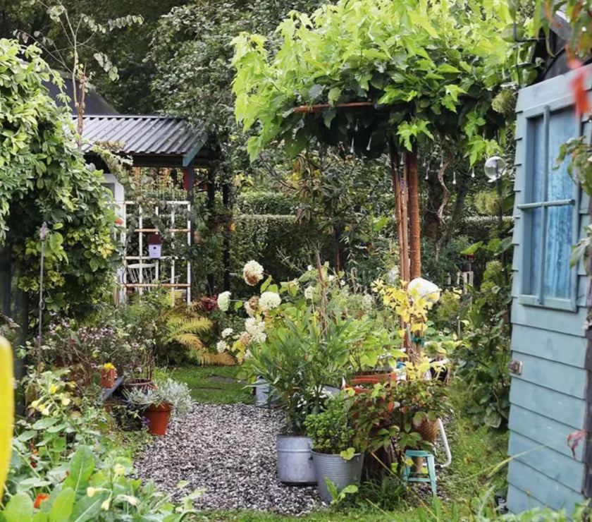 Jeanne d'Arc Living - Issue #6 2025