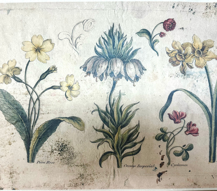 Spring Botanical (004) Sps1520