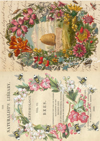 Bee Pack Rice paper EJG-O05, rice paper design by ellen j goods, arts & entertainment > hobbies & creative arts > arts & crafts, for decoupage and crafting