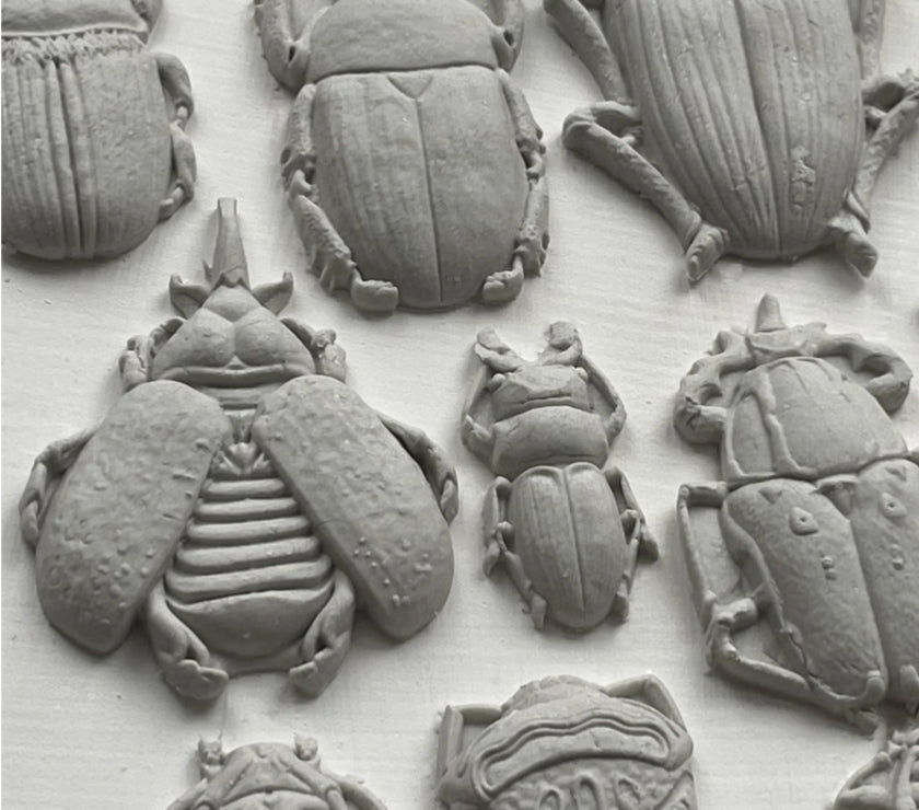 Specimens  IOD Décor Mould