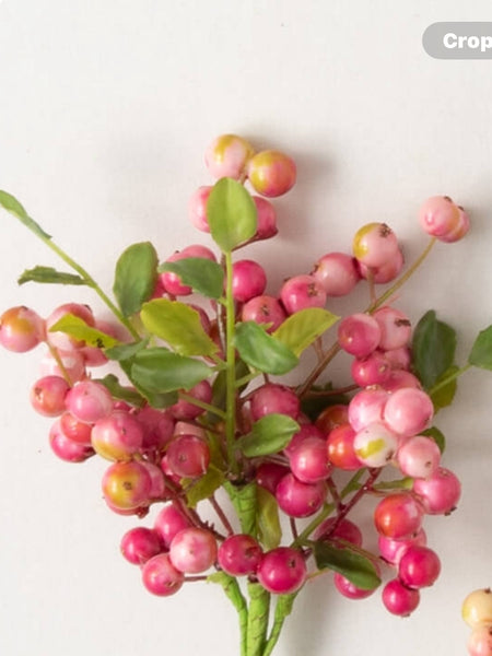 VIBRANT SPRING BERRY PICK