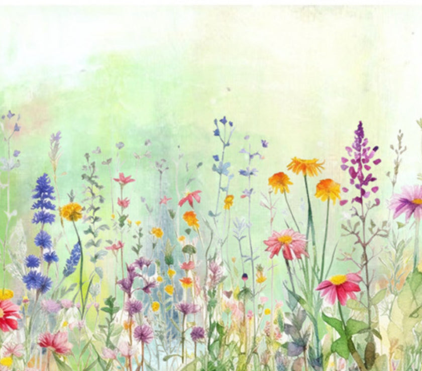 Summer Wildflowers Set