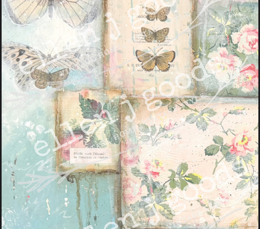 EJG Summer 2025 4 Pack