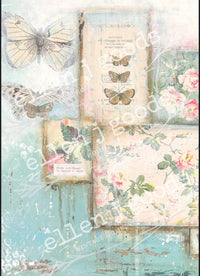 EJG Summer 2025 4 Pack