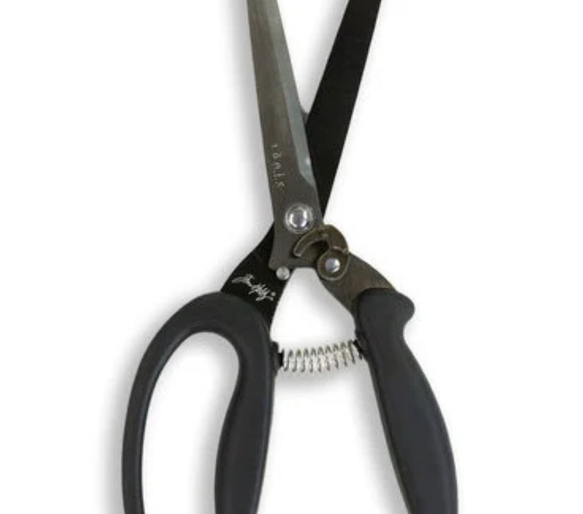 Recoil Scissors by Tim Holtz