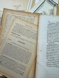 French Book Pages set of 50