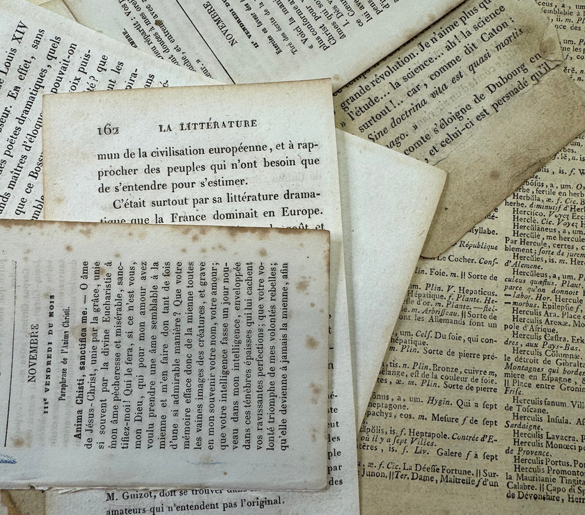 French Book Pages set of 50