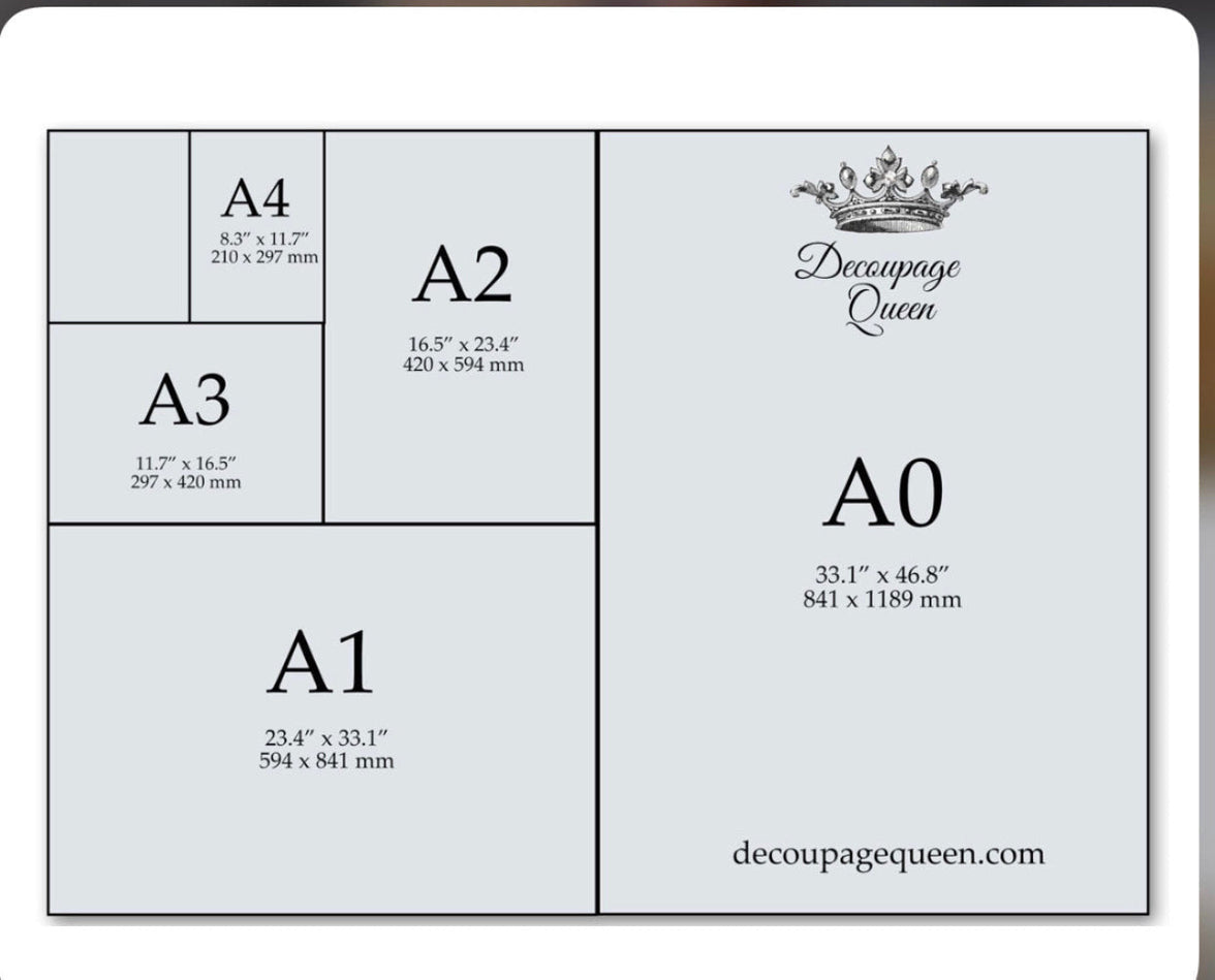 Crowned Birds 4 Pack 0560