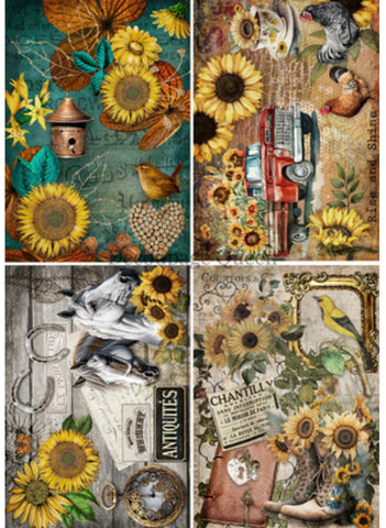 Country Sunflowers 4 Pack
