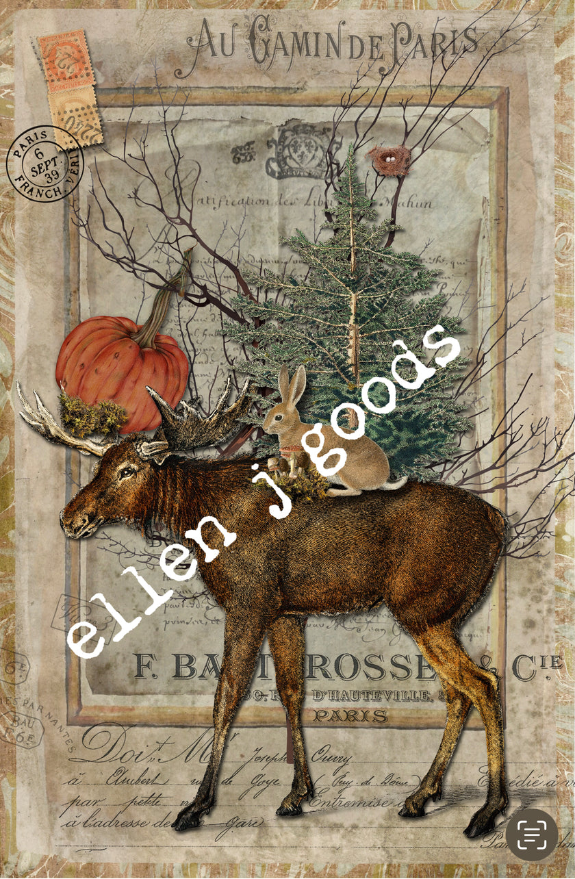 Woodland Treasures (024) C565