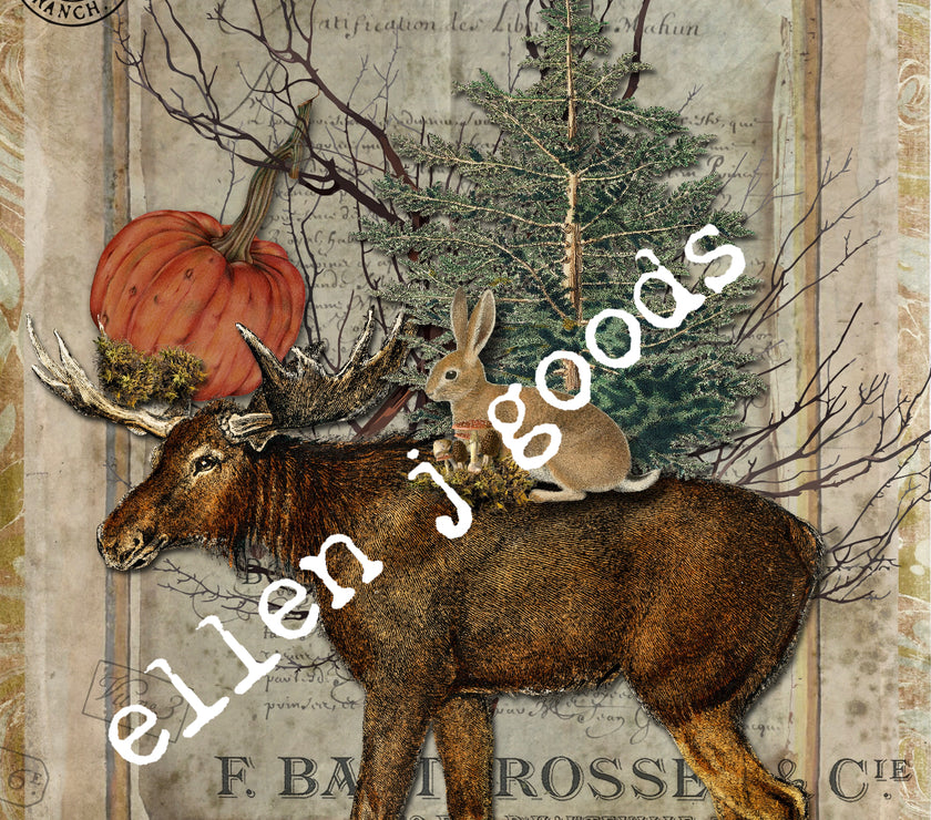 Woodland Treasures (024) C565