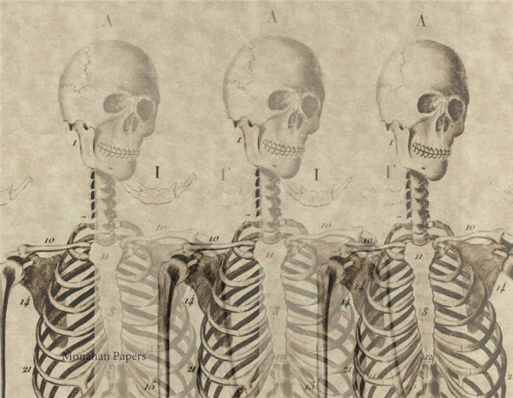 Skeleton Trio - SPS609