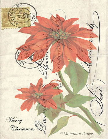 Poinsettia - C178