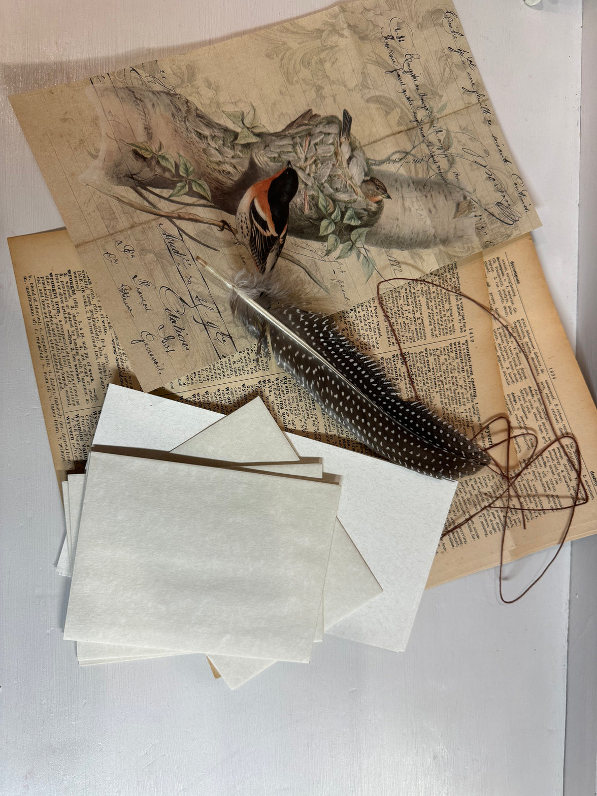 Aged Stationery Pack with Birds