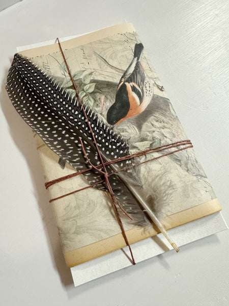 Aged Stationery Pack with Birds