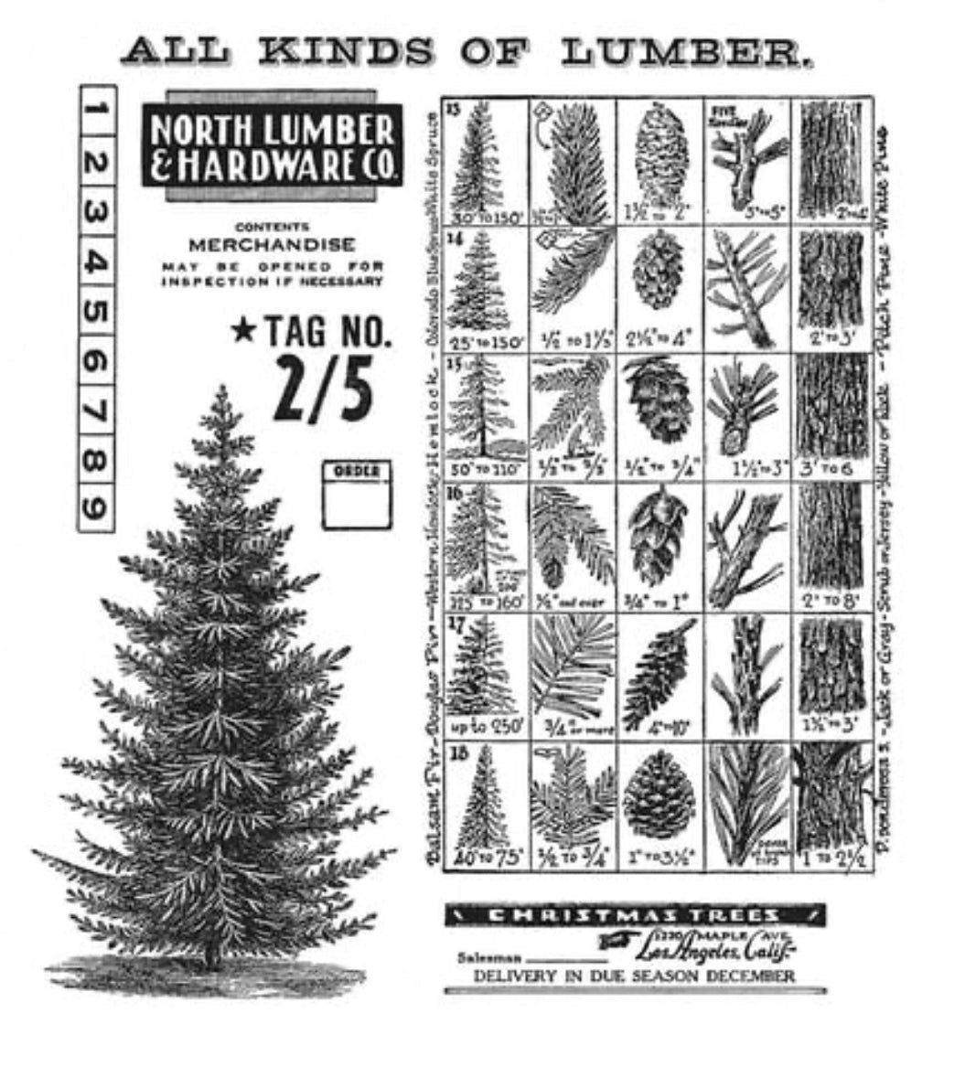 Tim Holtz Stamp Winter Woodlands