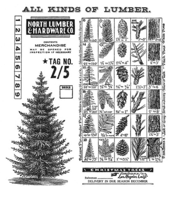 Tim Holtz Stamp Winter Woodlands