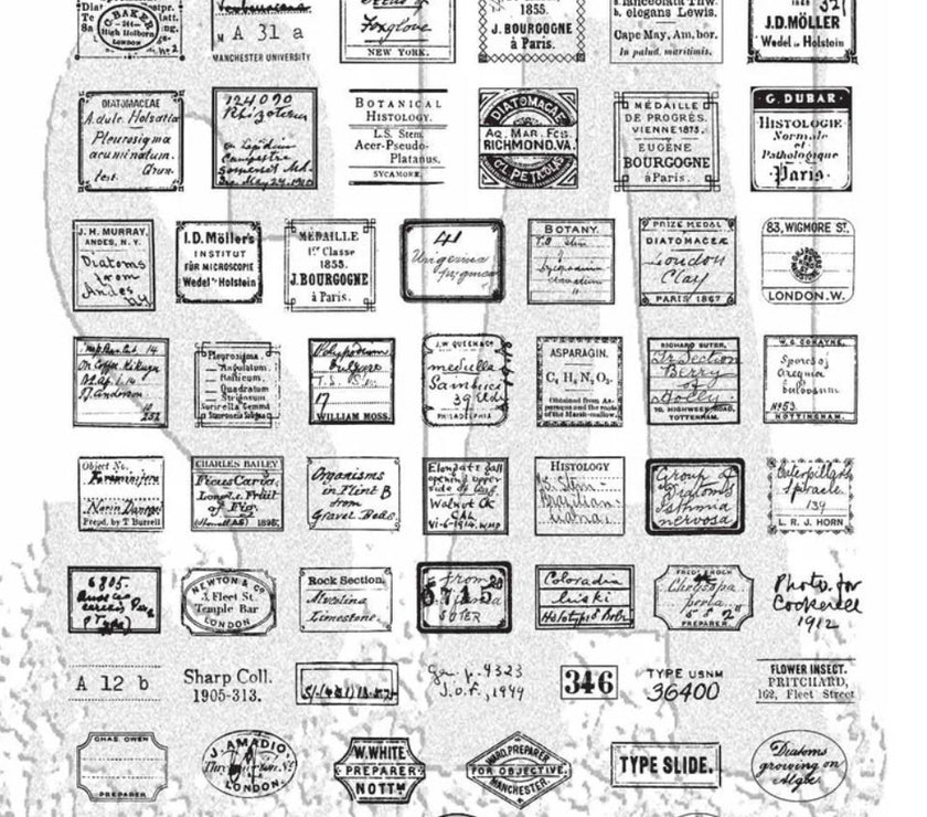 Tim Holtz Stamp Curator