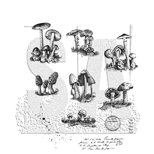 Tim Holtz Stamp Tiny Toadstools