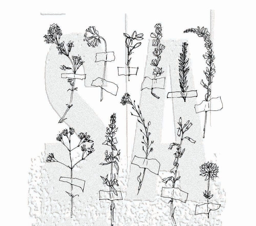 Tim Holtz Stamp Forgotten Garden