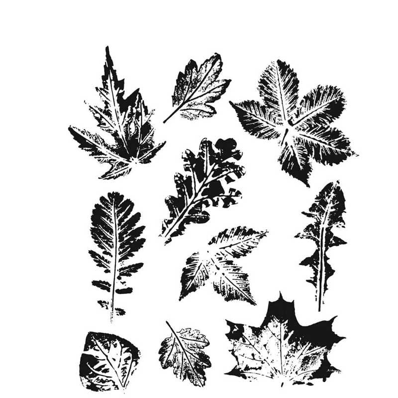 Tim Holtz Stamp Leaf Print
