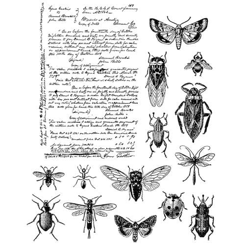 Tim Holtz Stamp Entomology