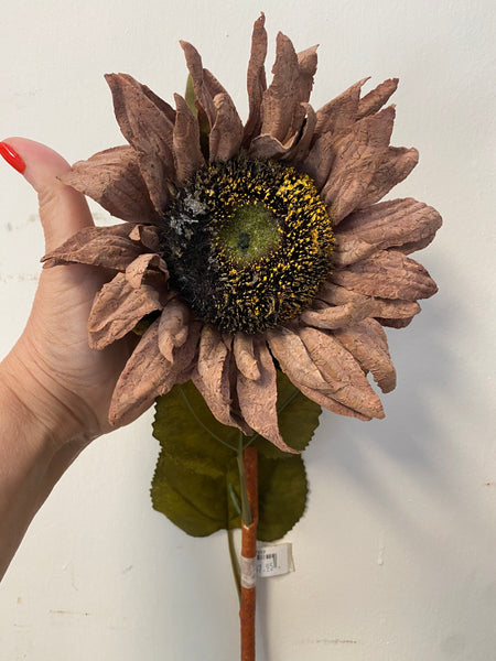 Faded Taupe Sunflower